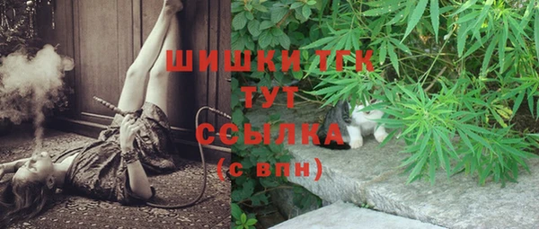 скорость Ладушкин
