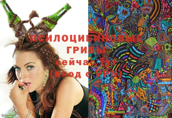 бошки Лиски