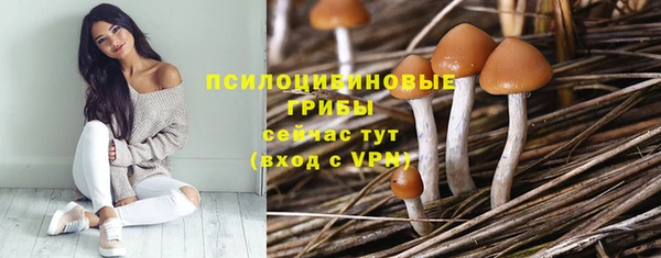эйфоретик Магас
