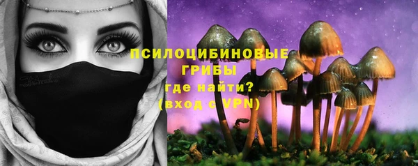 бошки Лиски